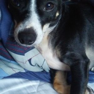 Meet your Posher, Aaron